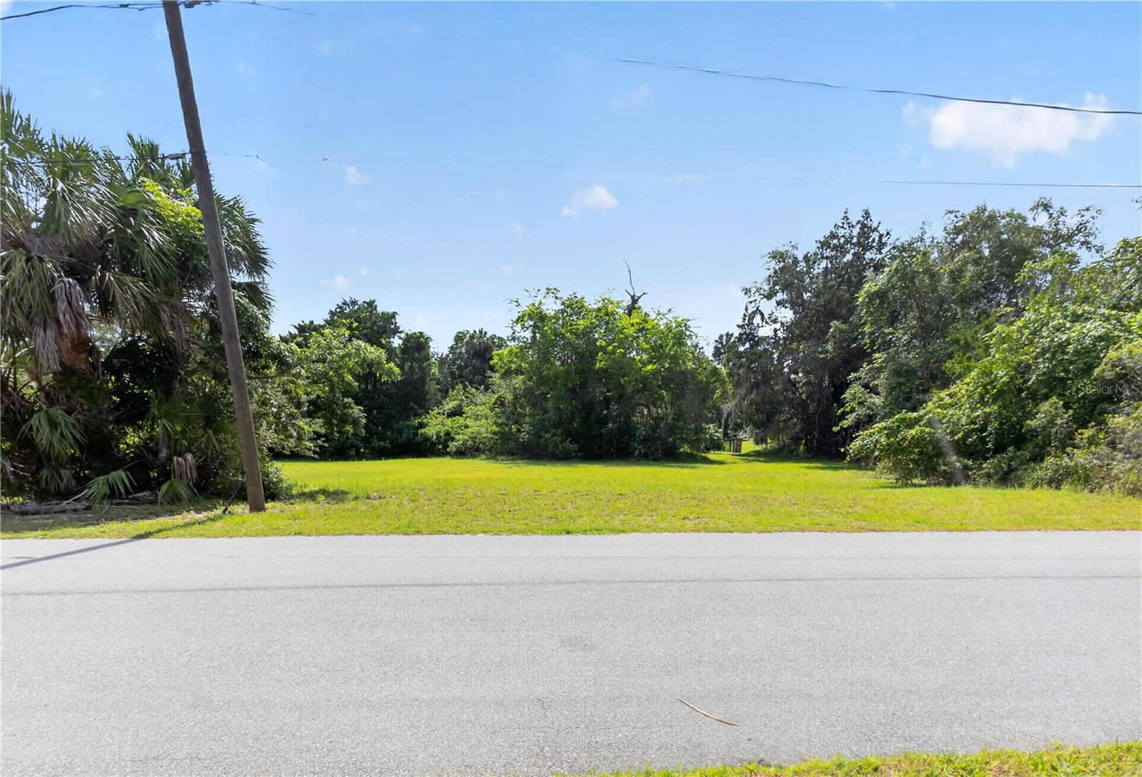 4540 S SAWGRASS CIR, HOMOSASSA, FL — photo 2