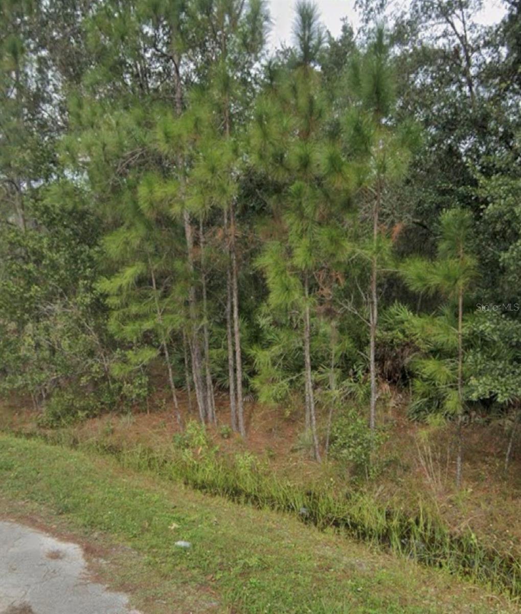 1437 TERN CT, POINCIANA, FL