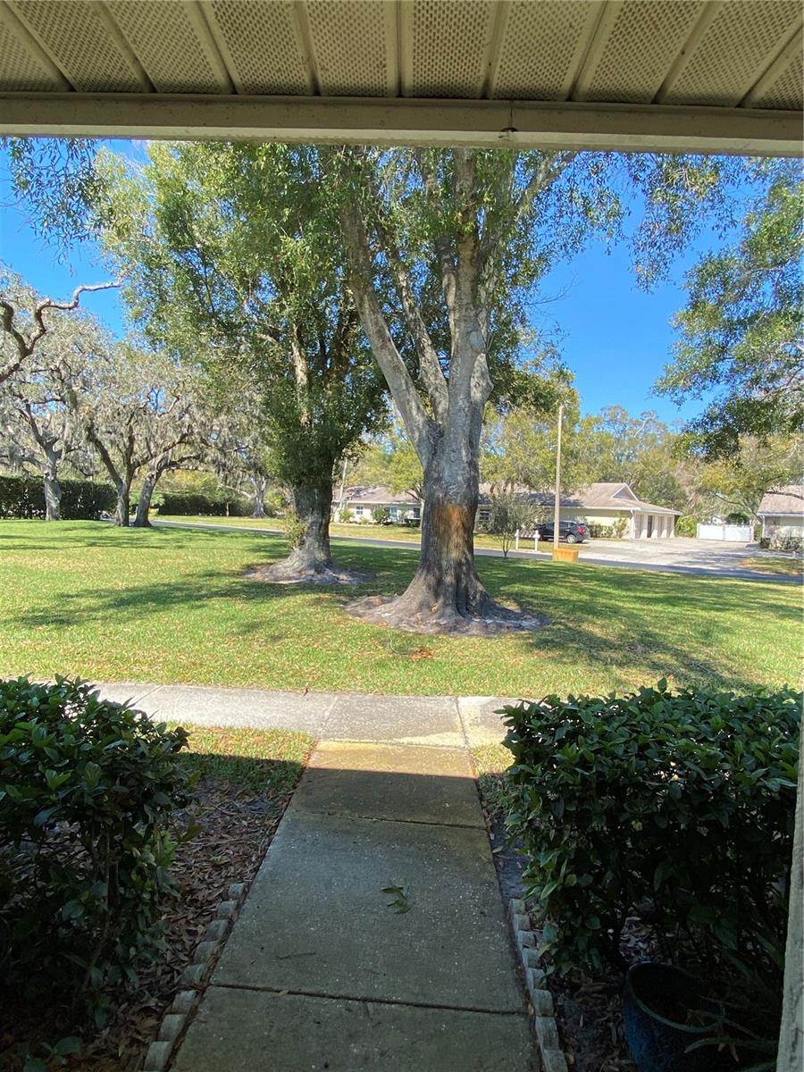 1059 DUNROBIN DR #B, PALM HARBOR, FL — photo 3