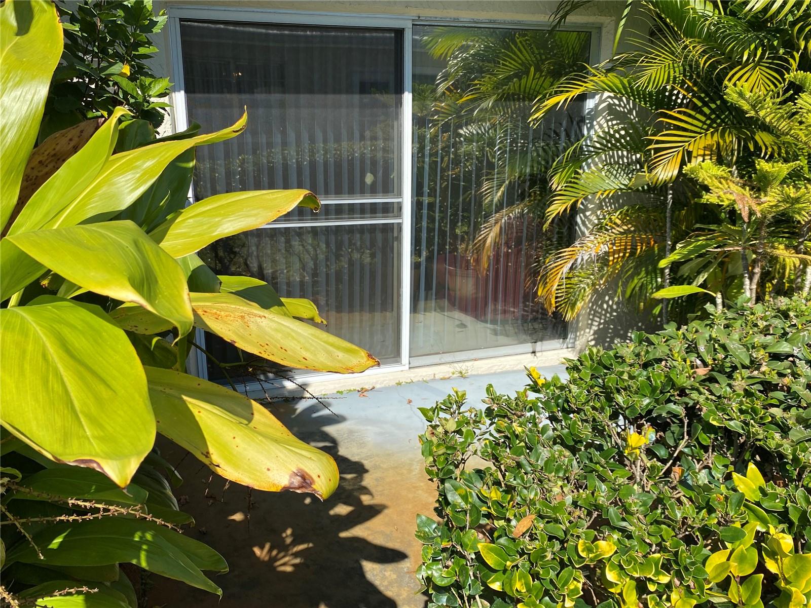 1059 DUNROBIN DR #B, PALM HARBOR, FL — photo 29