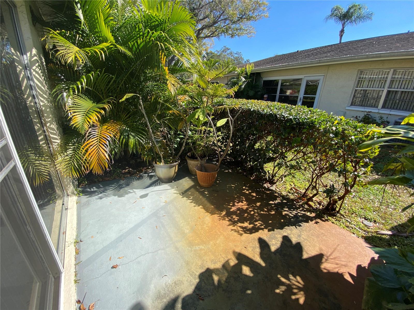 1059 DUNROBIN DR #B, PALM HARBOR, FL — photo 30