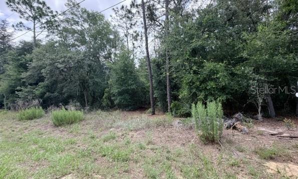 3223 E SCOFIELD ST, INVERNESS, FL