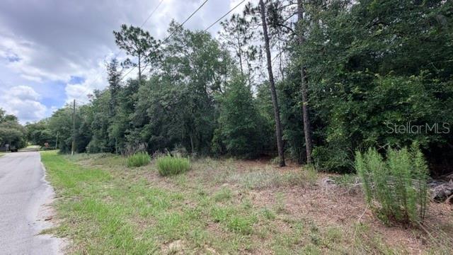3223 E SCOFIELD ST, INVERNESS, FL — photo 2