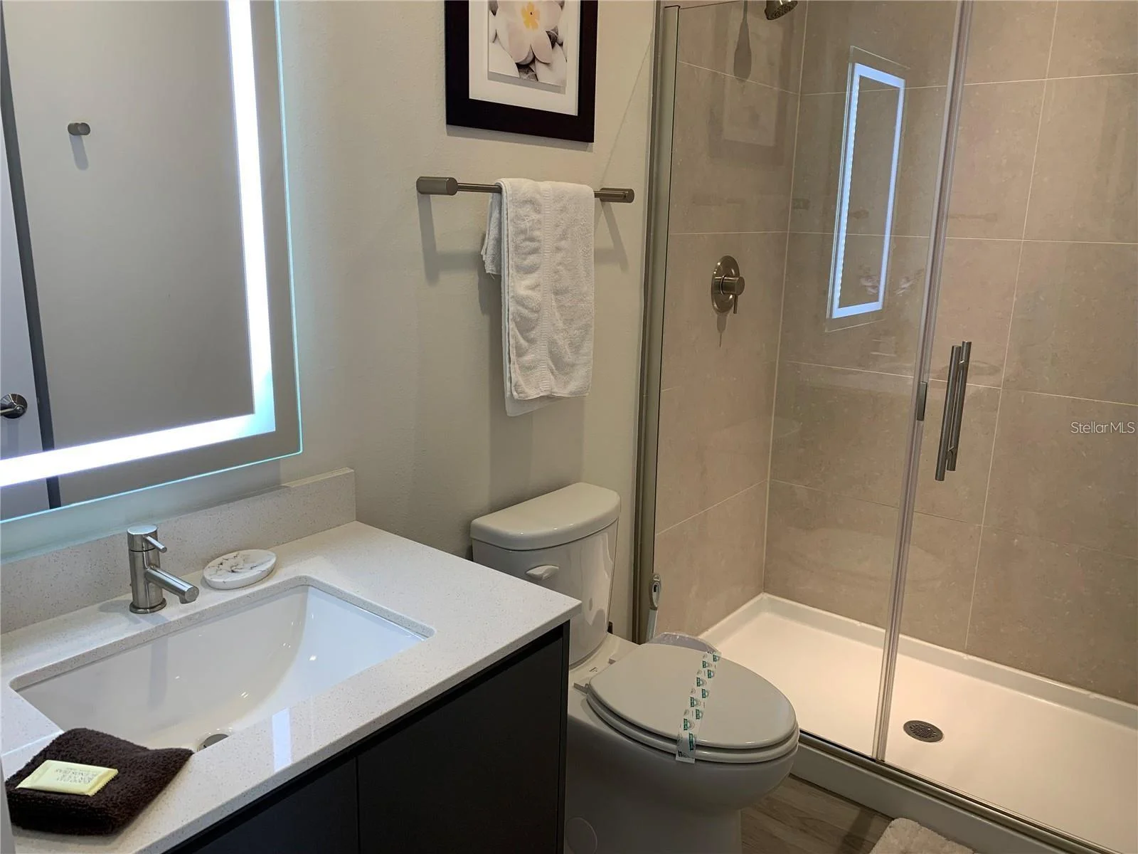 17307 HIDDEN FOREST DR, CLERMONT, FL — photo 9