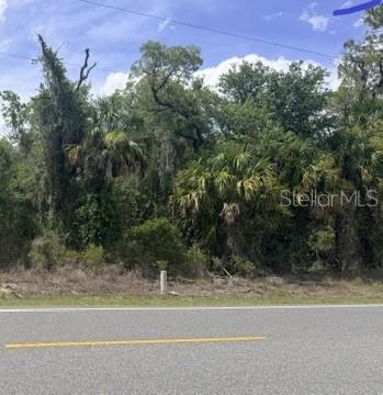 10639 W DUNNELLON RD, CRYSTAL RIVER, FL — photo 2