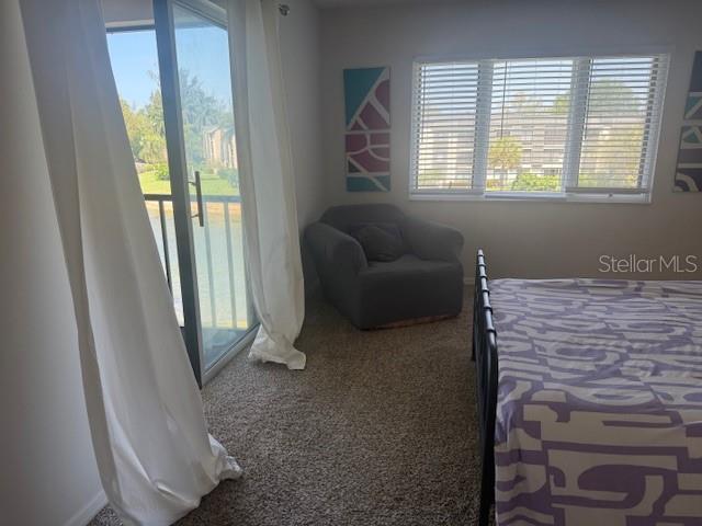 1645 SPOONBILL LN #C, NAPLES, FL — photo 33