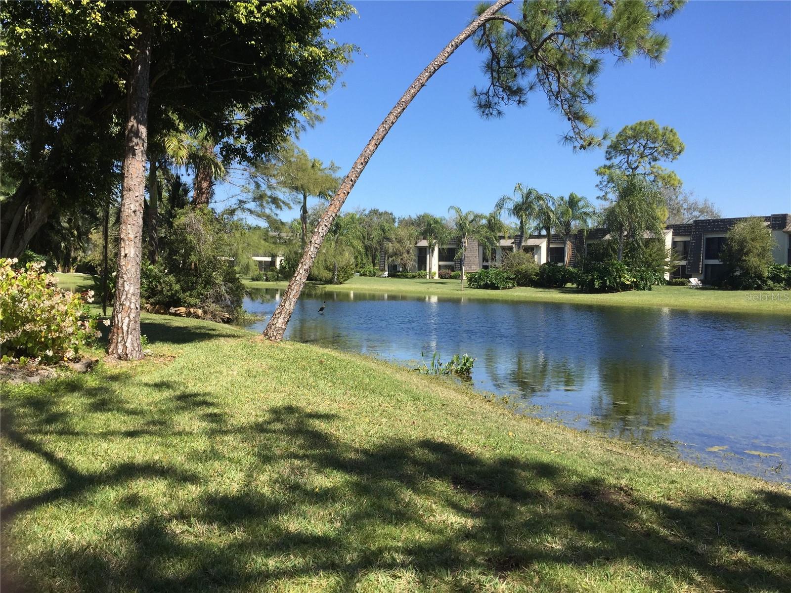 1645 SPOONBILL LN #C, NAPLES, FL — photo 42