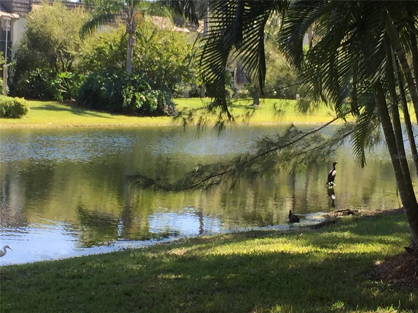 1645 SPOONBILL LN #C, NAPLES, FL — photo 43