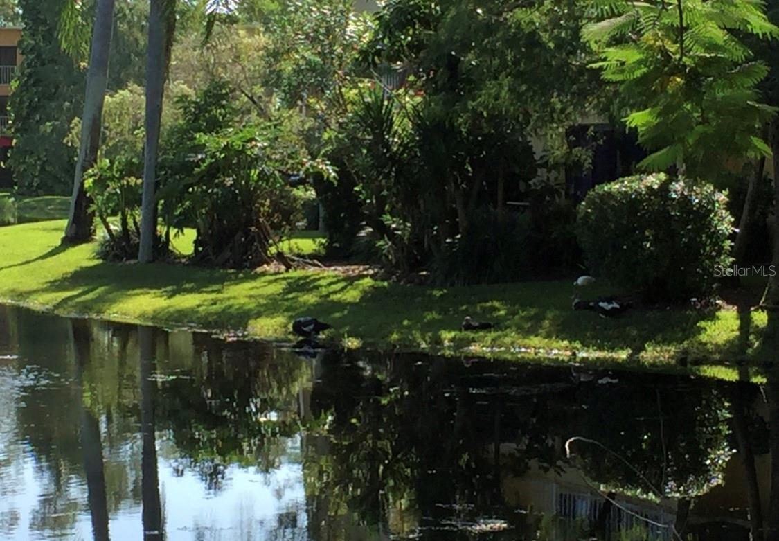 1645 SPOONBILL LN #C, NAPLES, FL — photo 48