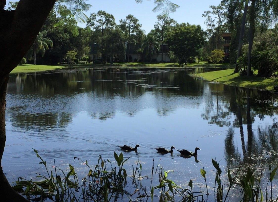 1645 SPOONBILL LN #C, NAPLES, FL — photo 49
