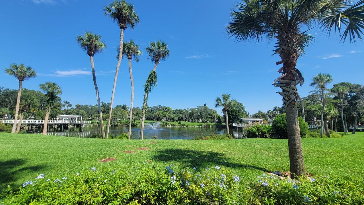 5825 MICHIGAN AVE, NEW PORT RICHEY, FL — photo 29