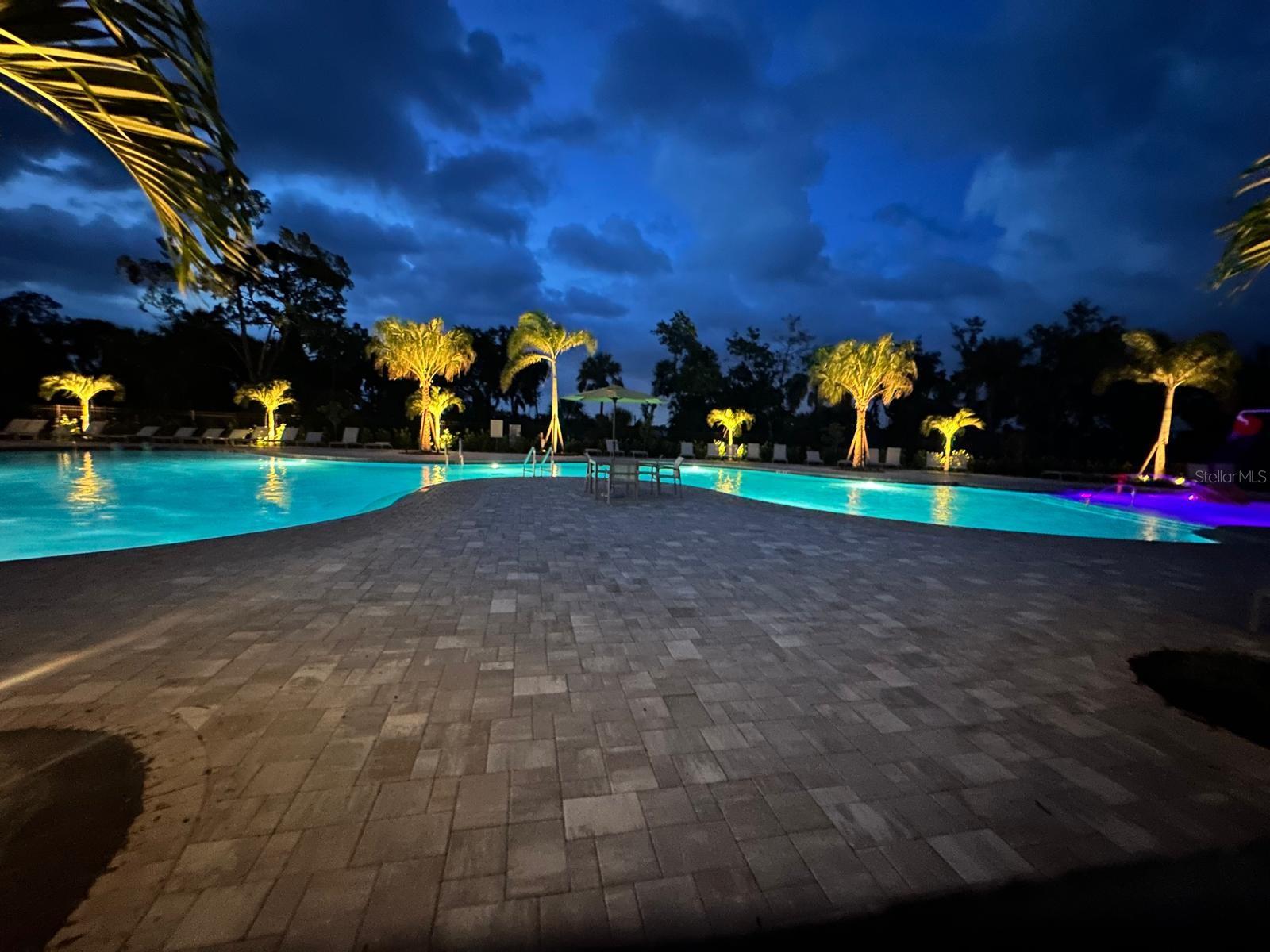 10473 CURVING CREEK LOOP, PARRISH, FL — photo 3