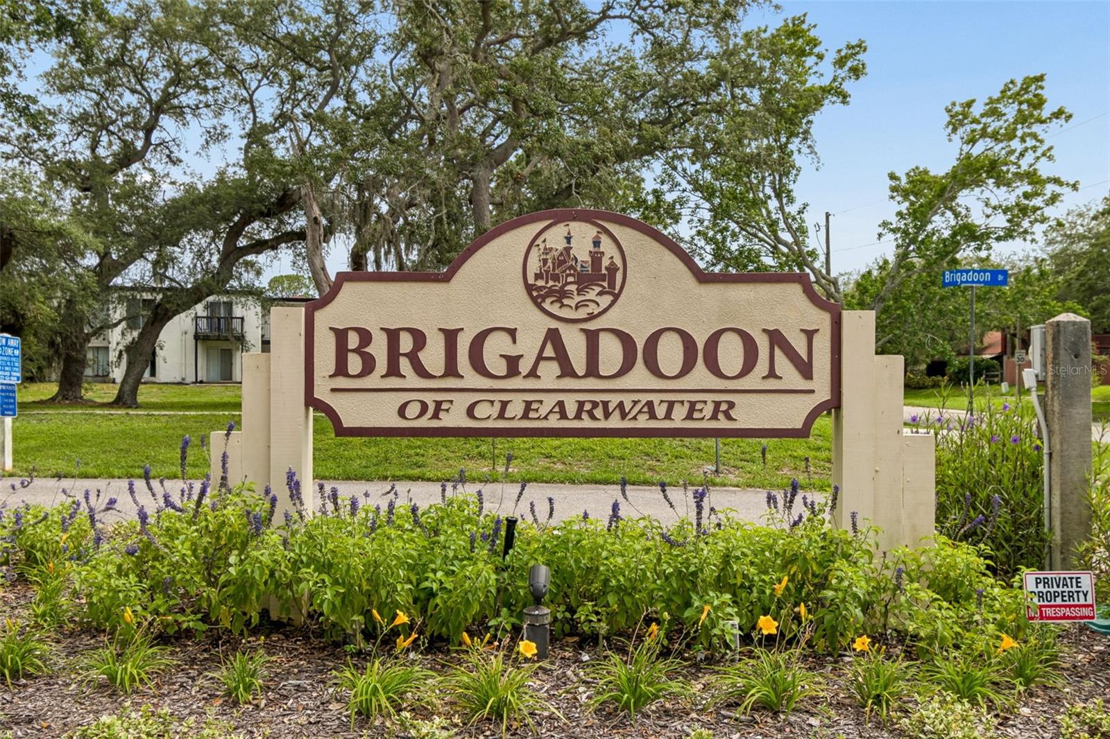 1403 BRIGADOON DR, CLEARWATER, FL — photo 39