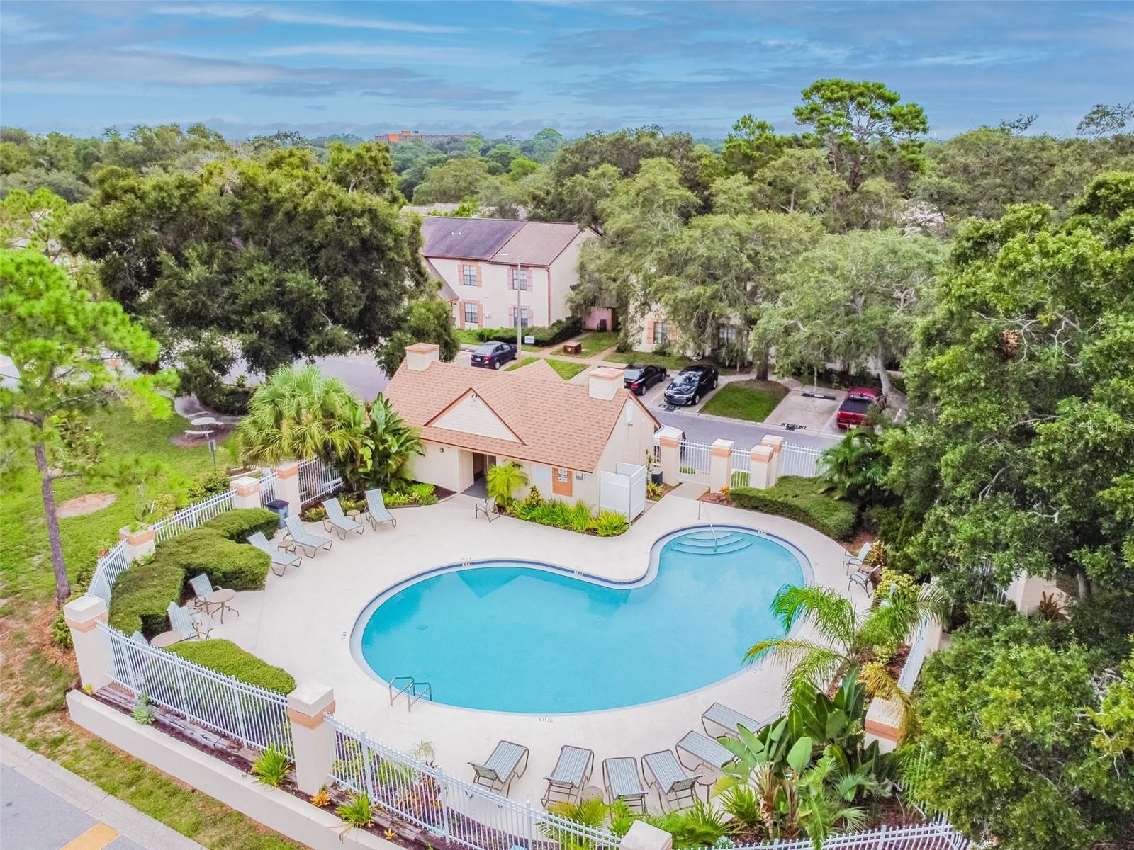 1403 BRIGADOON DR, CLEARWATER, FL — photo 41