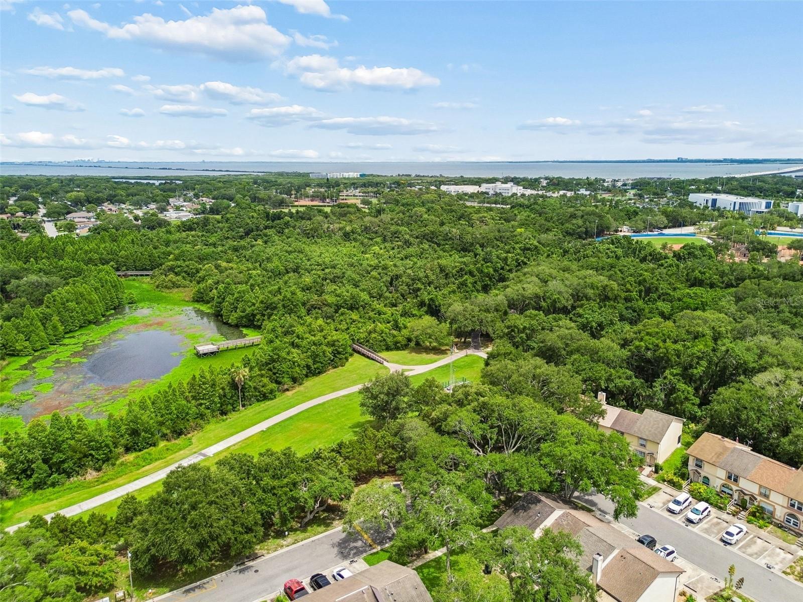 1403 BRIGADOON DR, CLEARWATER, FL — photo 47