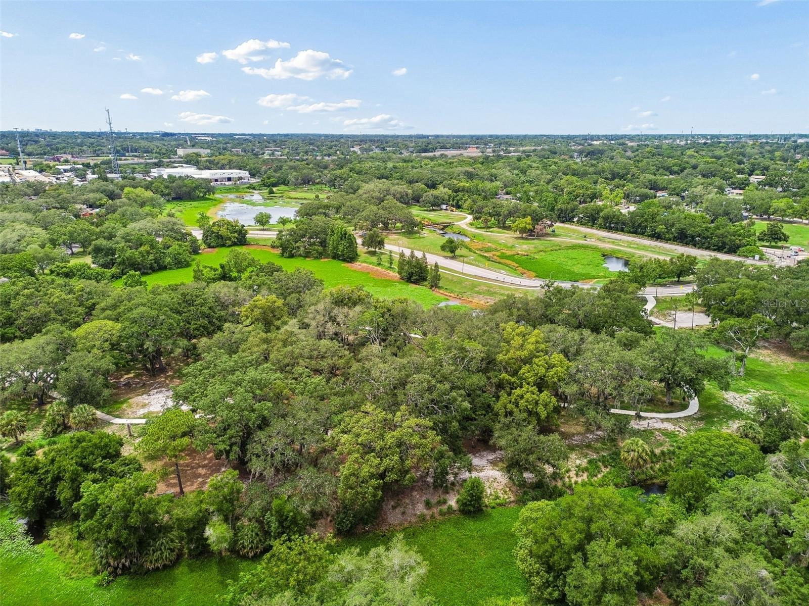 1403 BRIGADOON DR, CLEARWATER, FL — photo 49