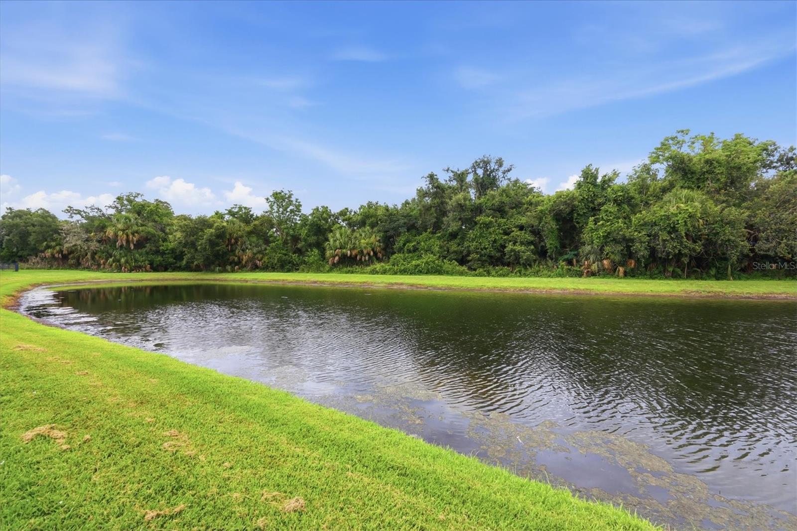 12218 LAVENDER LOOP, BRADENTON, FL — photo 38