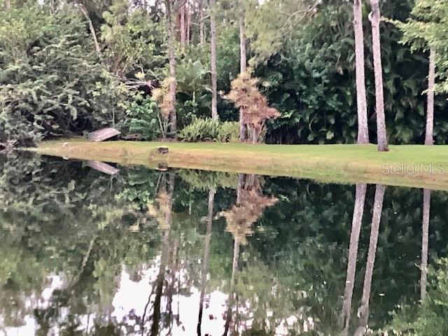 1645 SPOONBILL LN #C, NAPLES, FL — photo 52