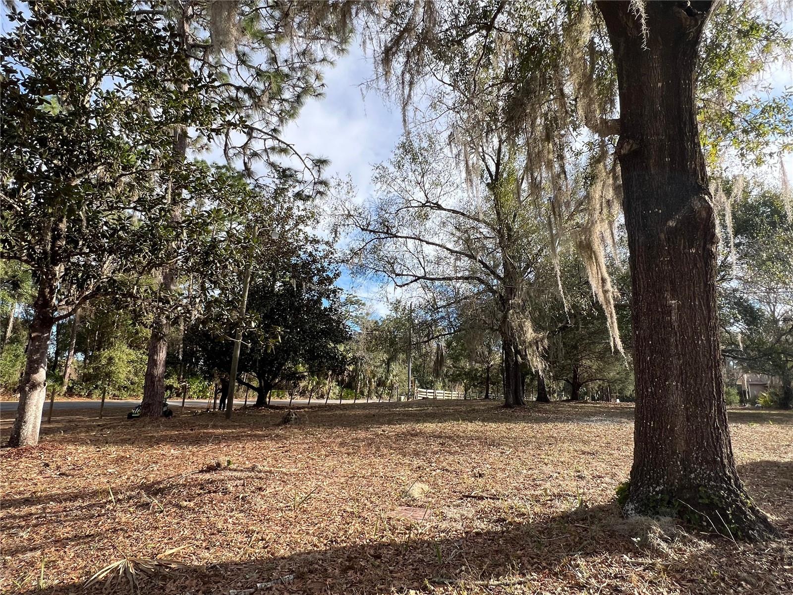 , CRYSTAL RIVER, FL — photo 19