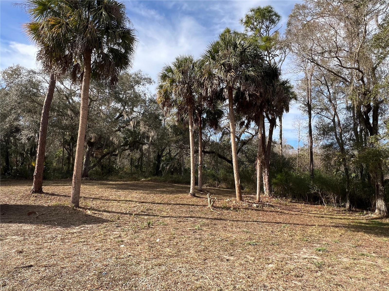 , CRYSTAL RIVER, FL — photo 20
