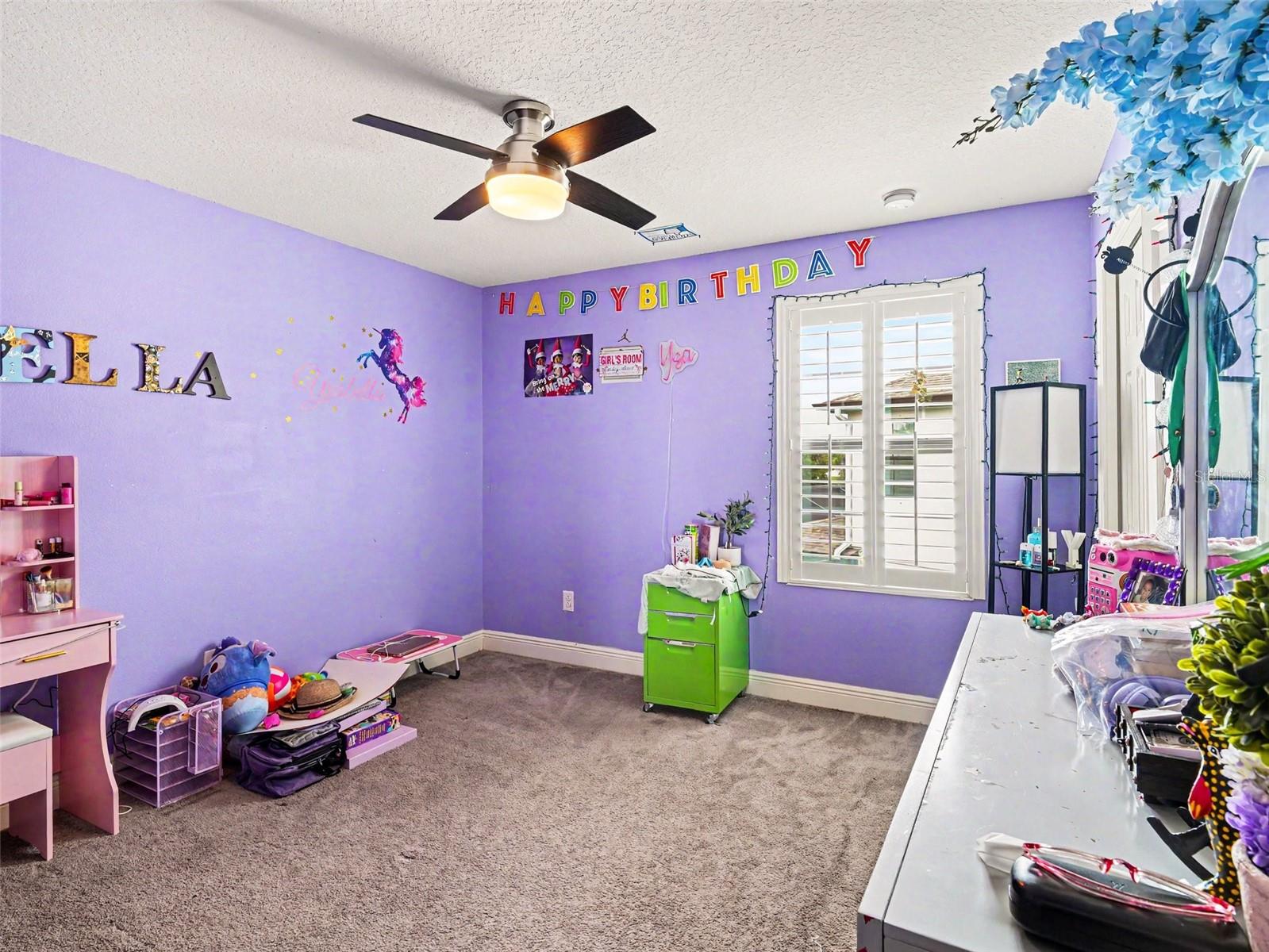 13116 FOXTAIL FERN DR, RIVERVIEW, FL — photo 9