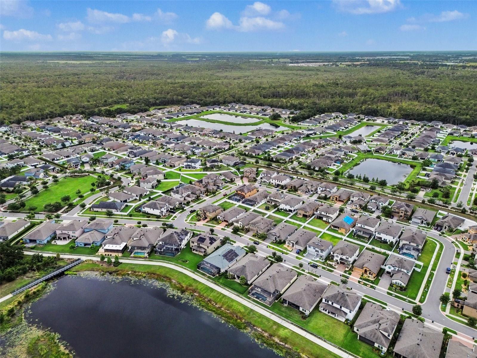 13116 FOXTAIL FERN DR, RIVERVIEW, FL — photo 21