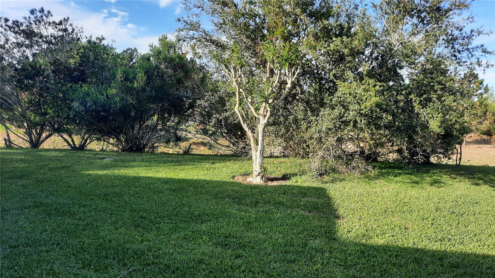 1315 ELLI CIR, ORMOND BEACH, FL — photo 3