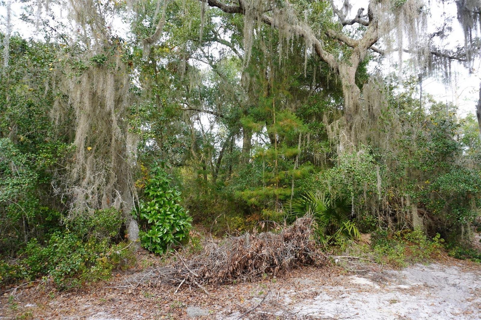 WEST PKWY, DELAND, FL — photo 3