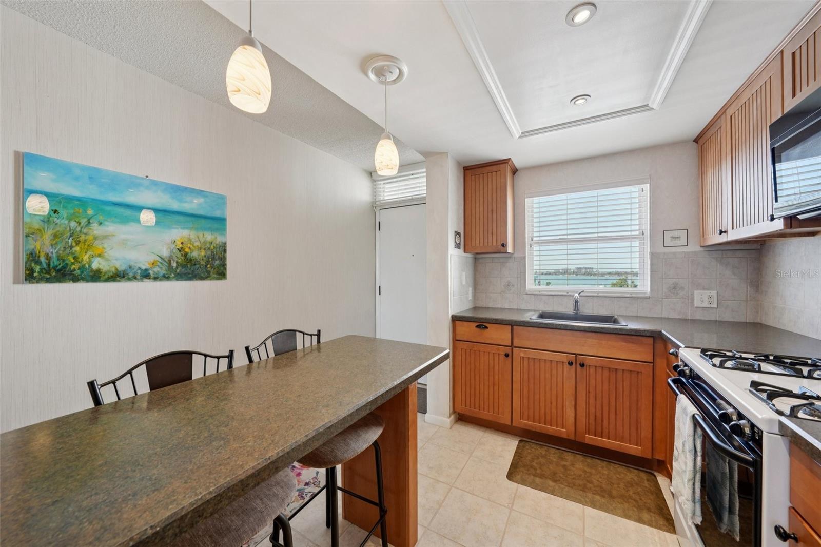 1847 SHORE DR S #711, SOUTH PASADENA, FL — photo 11