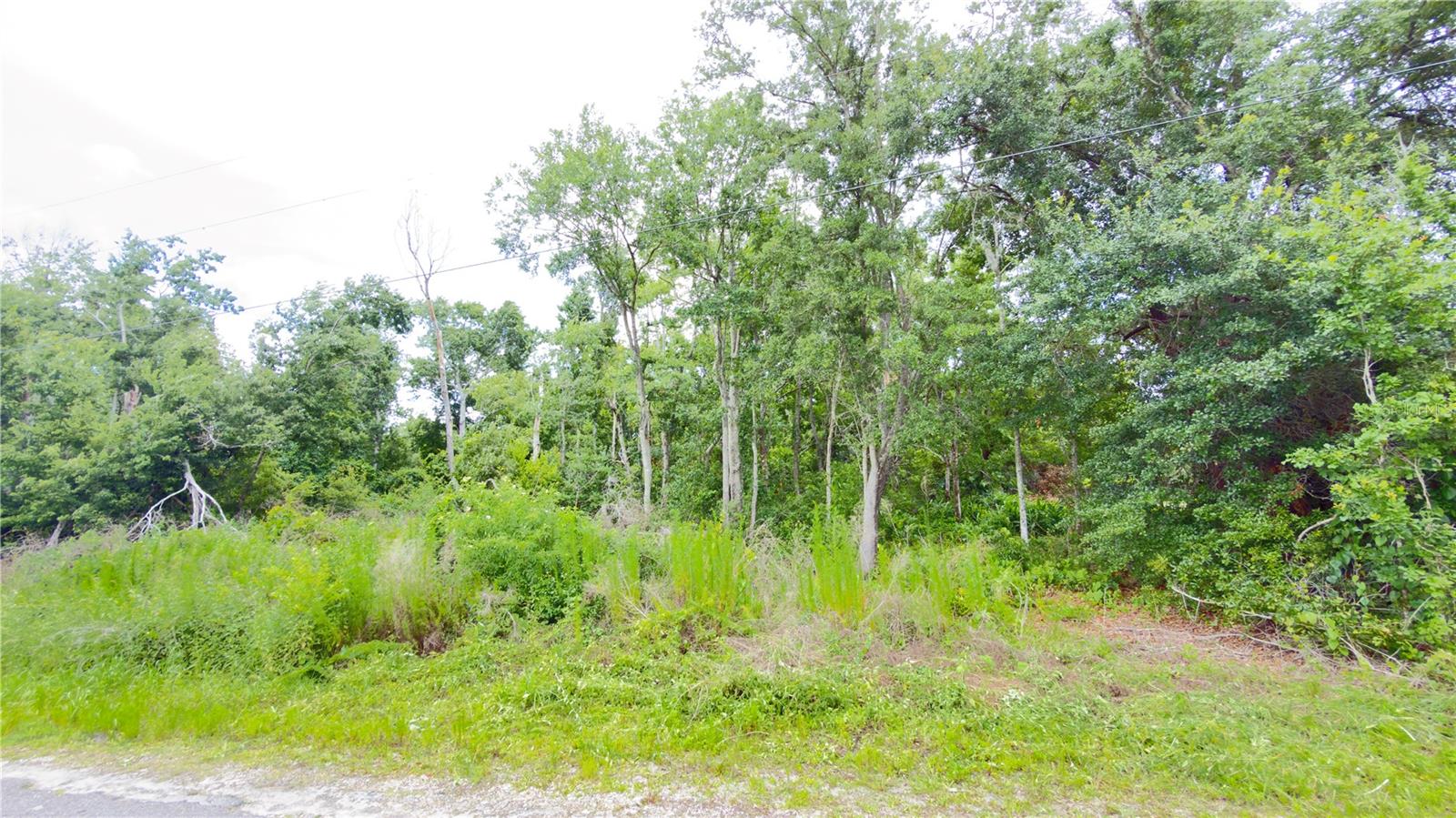 7402 LAND DR, WESLEY CHAPEL, FL