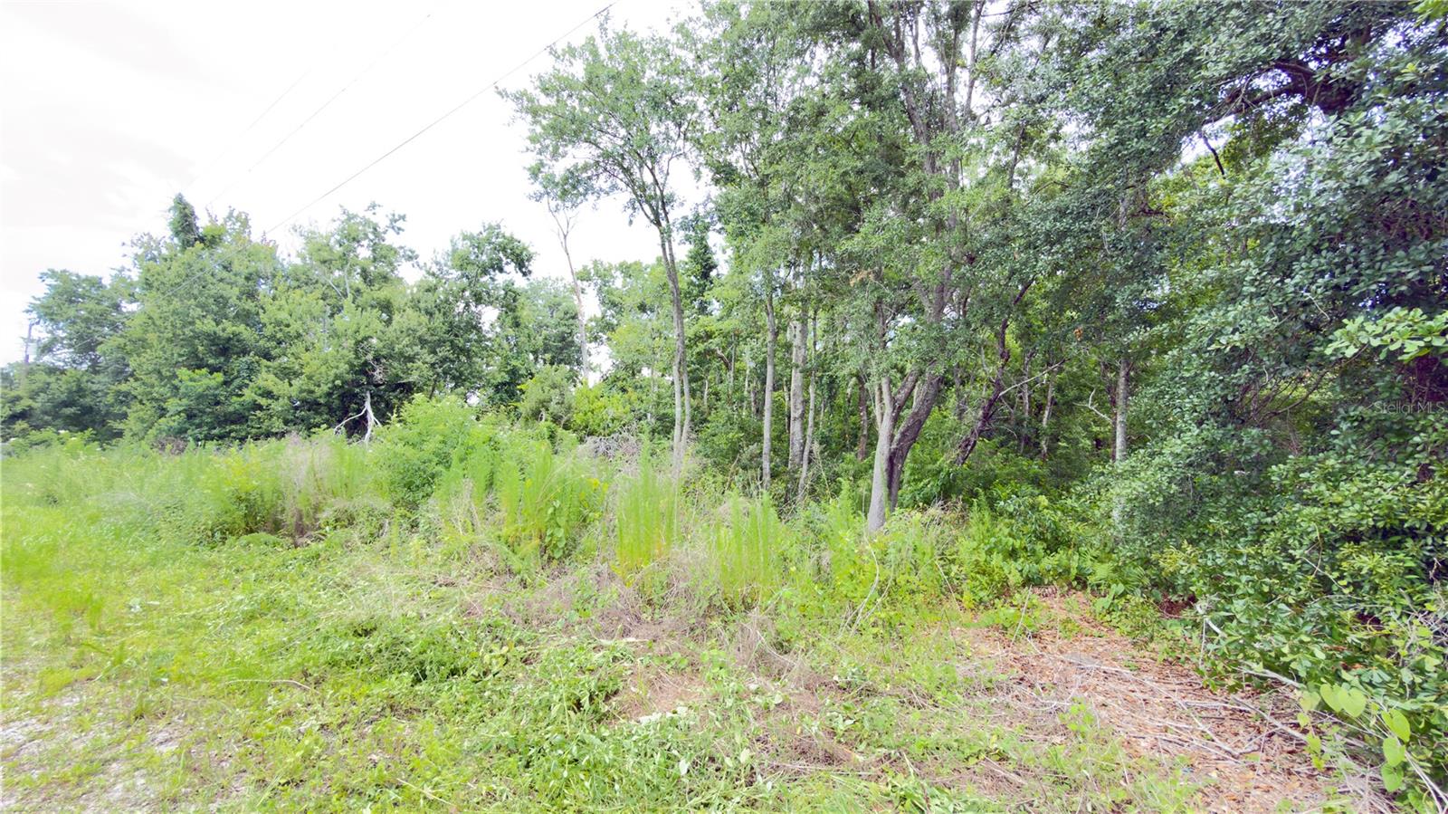 7402 LAND DR, WESLEY CHAPEL, FL — photo 2