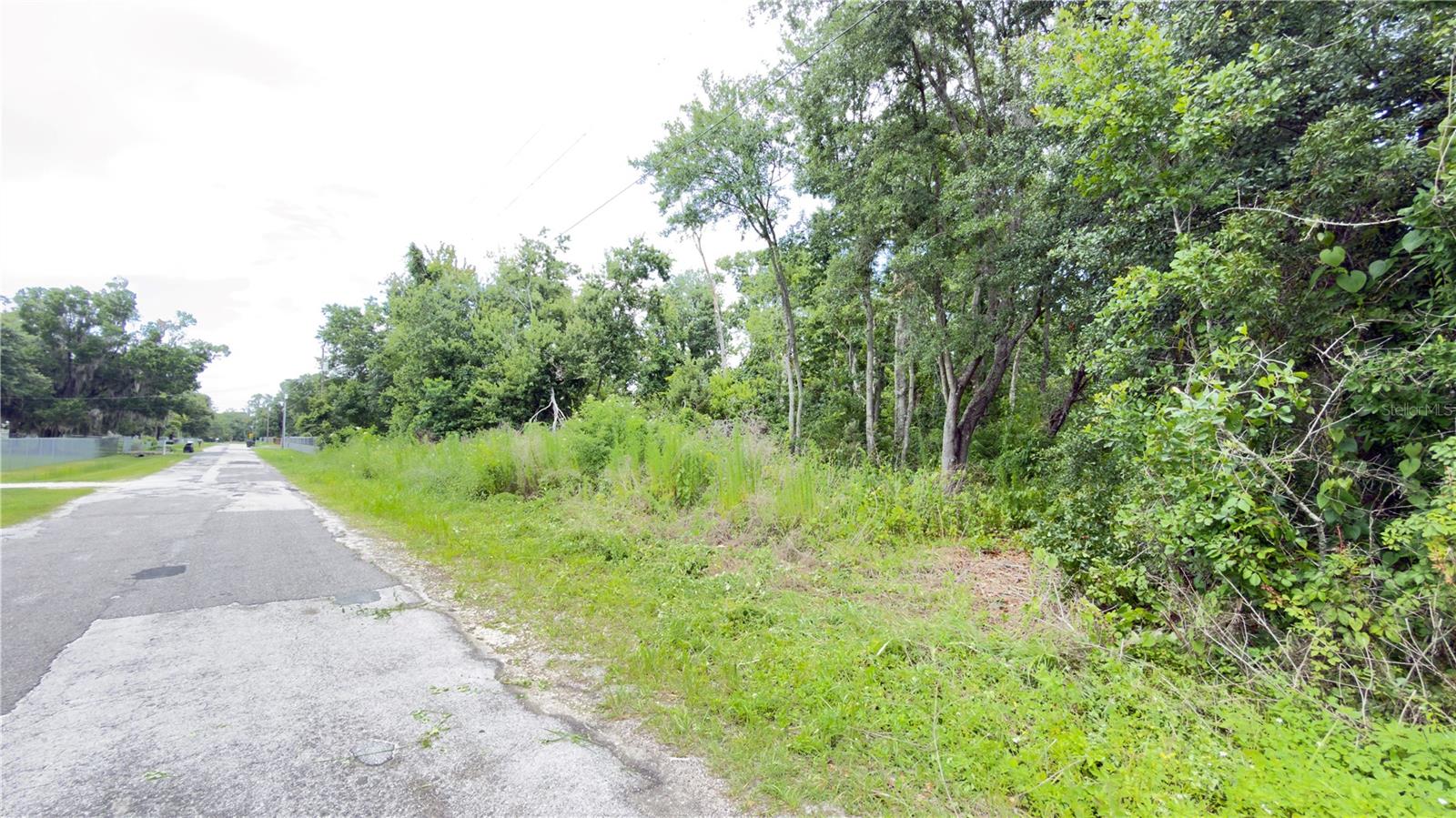 7402 LAND DR, WESLEY CHAPEL, FL — photo 4
