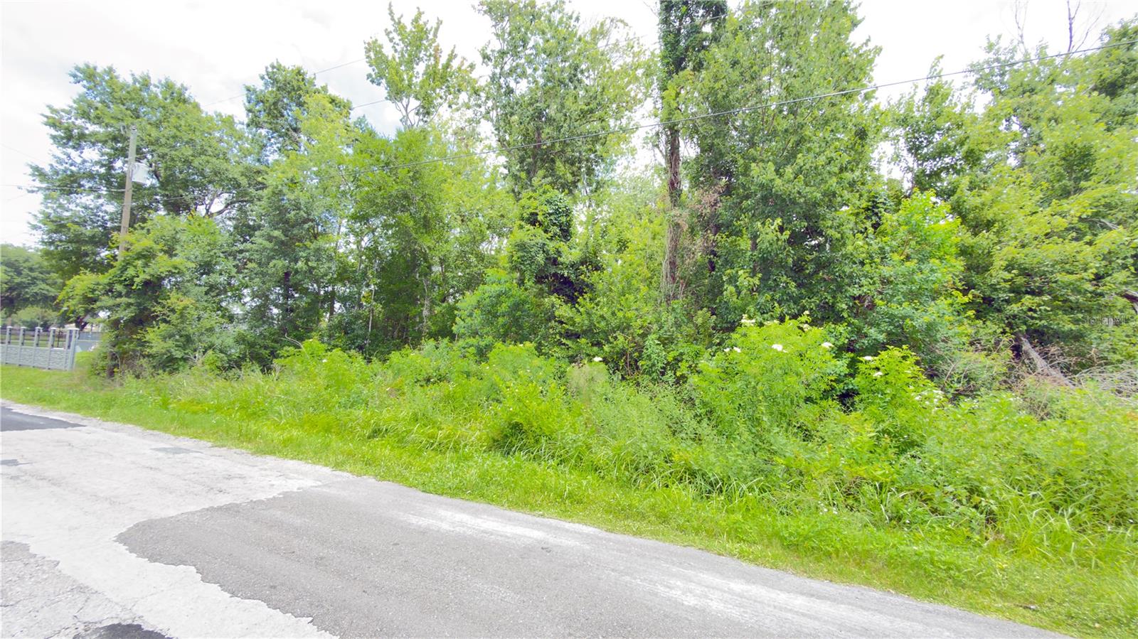 7402 LAND DR, WESLEY CHAPEL, FL — photo 5