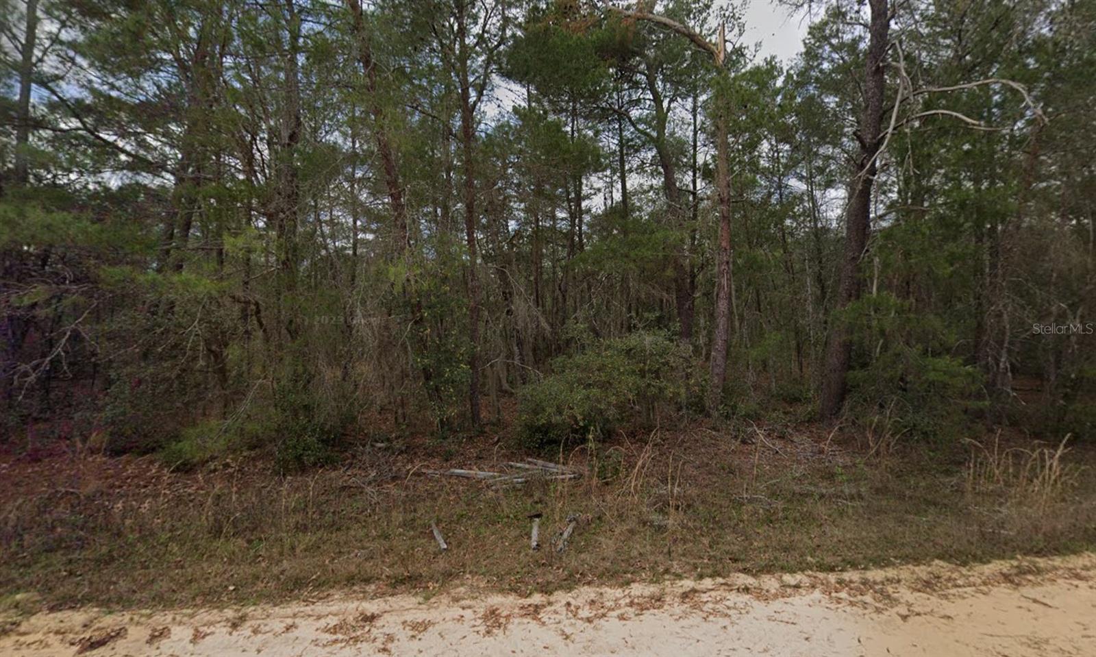 NEILSON AVE, INTERLACHEN, FL — photo 10