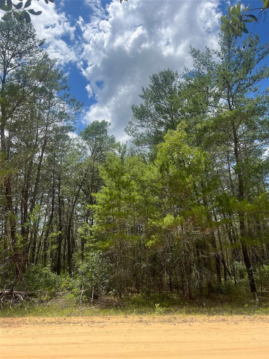 NEILSON AVE, INTERLACHEN, FL