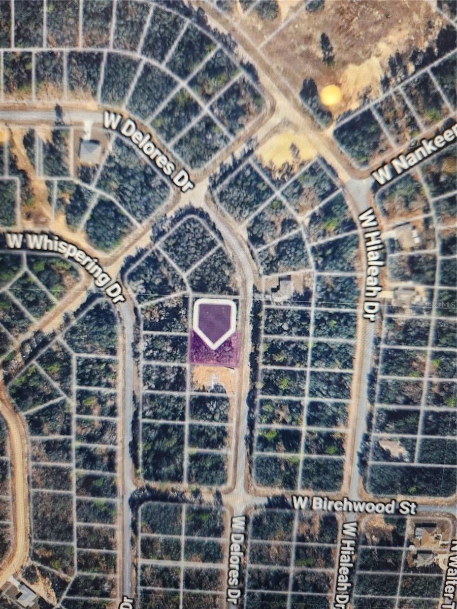 1360 W DOLORES DR, CITRUS SPRINGS, FL