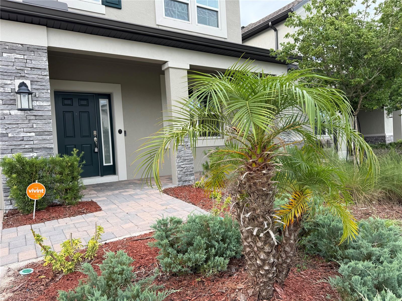 33263 SYCAMORE LEAF DR, WESLEY CHAPEL, FL — photo 4
