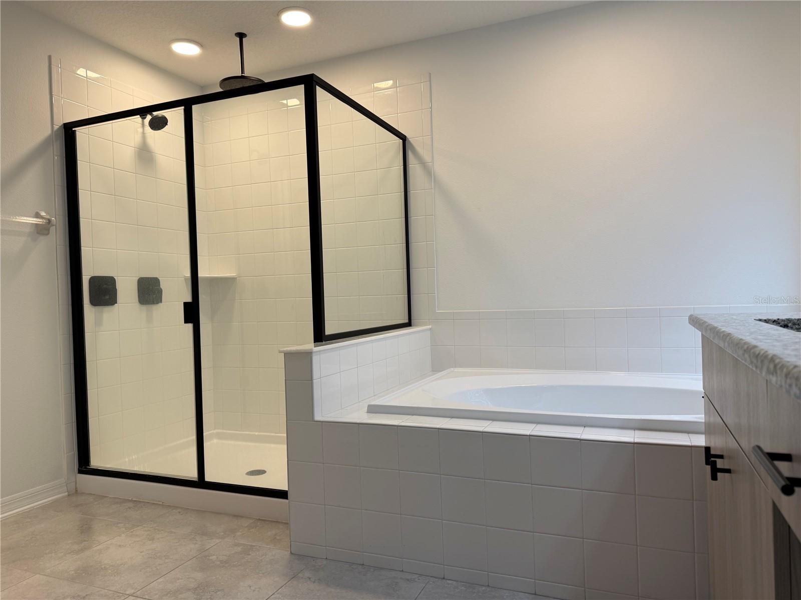 33263 SYCAMORE LEAF DR, WESLEY CHAPEL, FL — photo 12