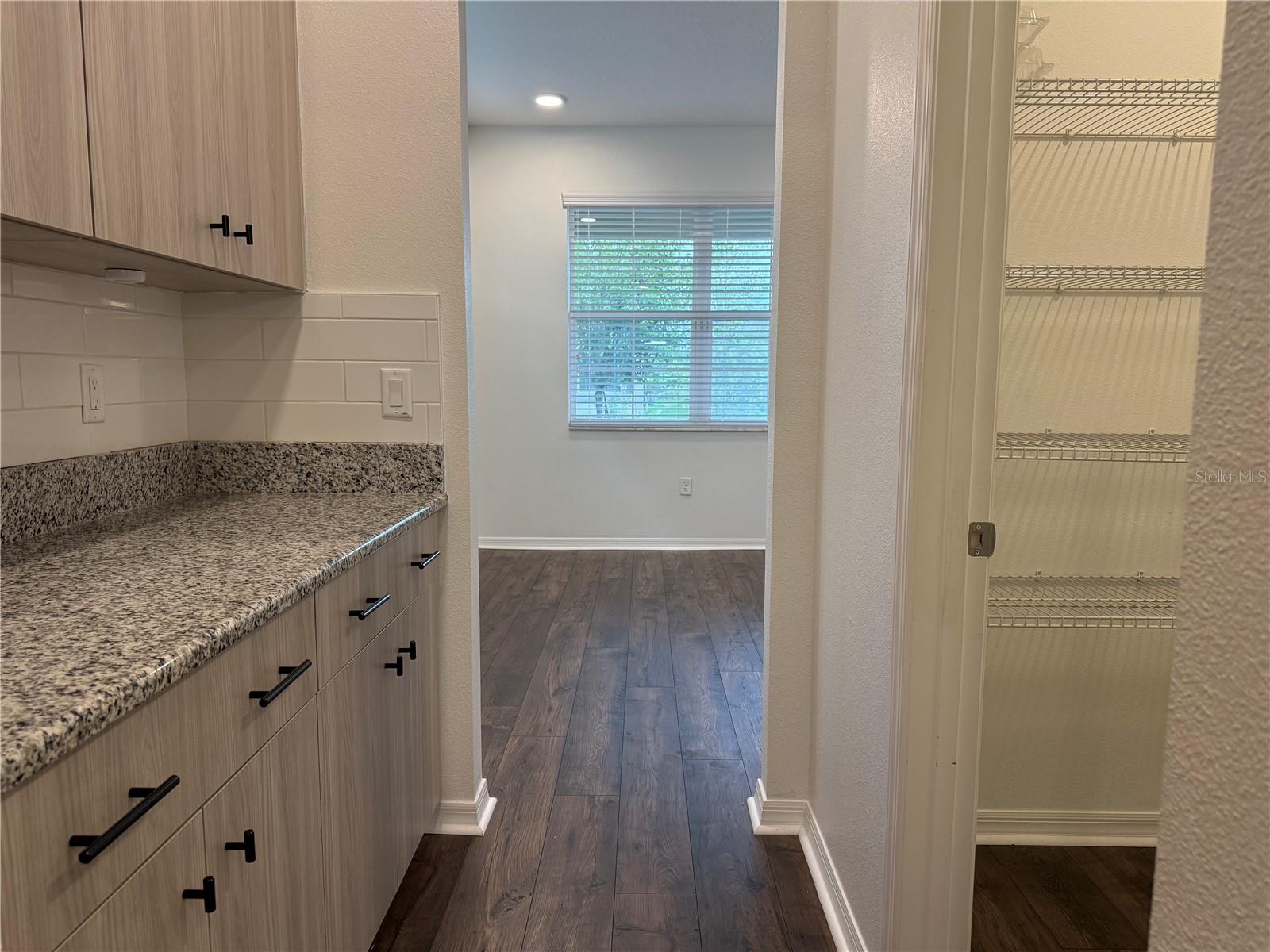 33263 SYCAMORE LEAF DR, WESLEY CHAPEL, FL — photo 27