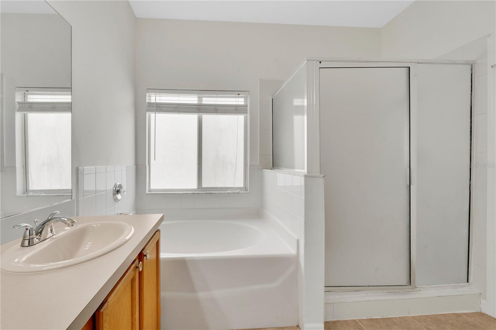 25702 ALDUS DR, LAND O LAKES, FL — photo 18