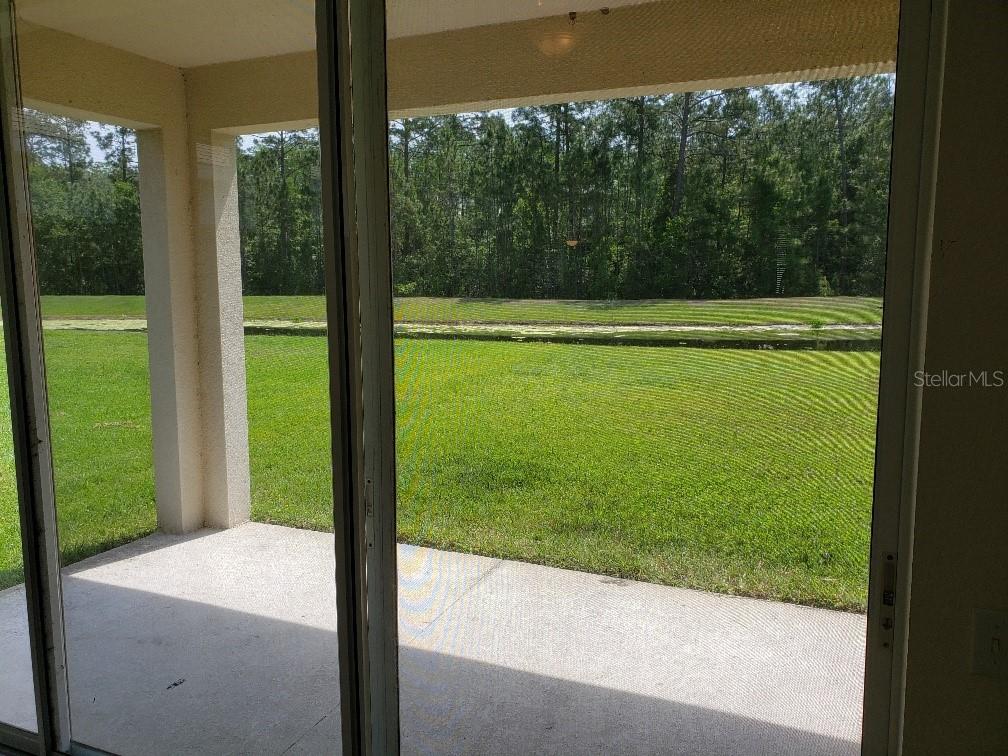 8625 GREENBANK BLVD, WINDERMERE, FL — photo 31