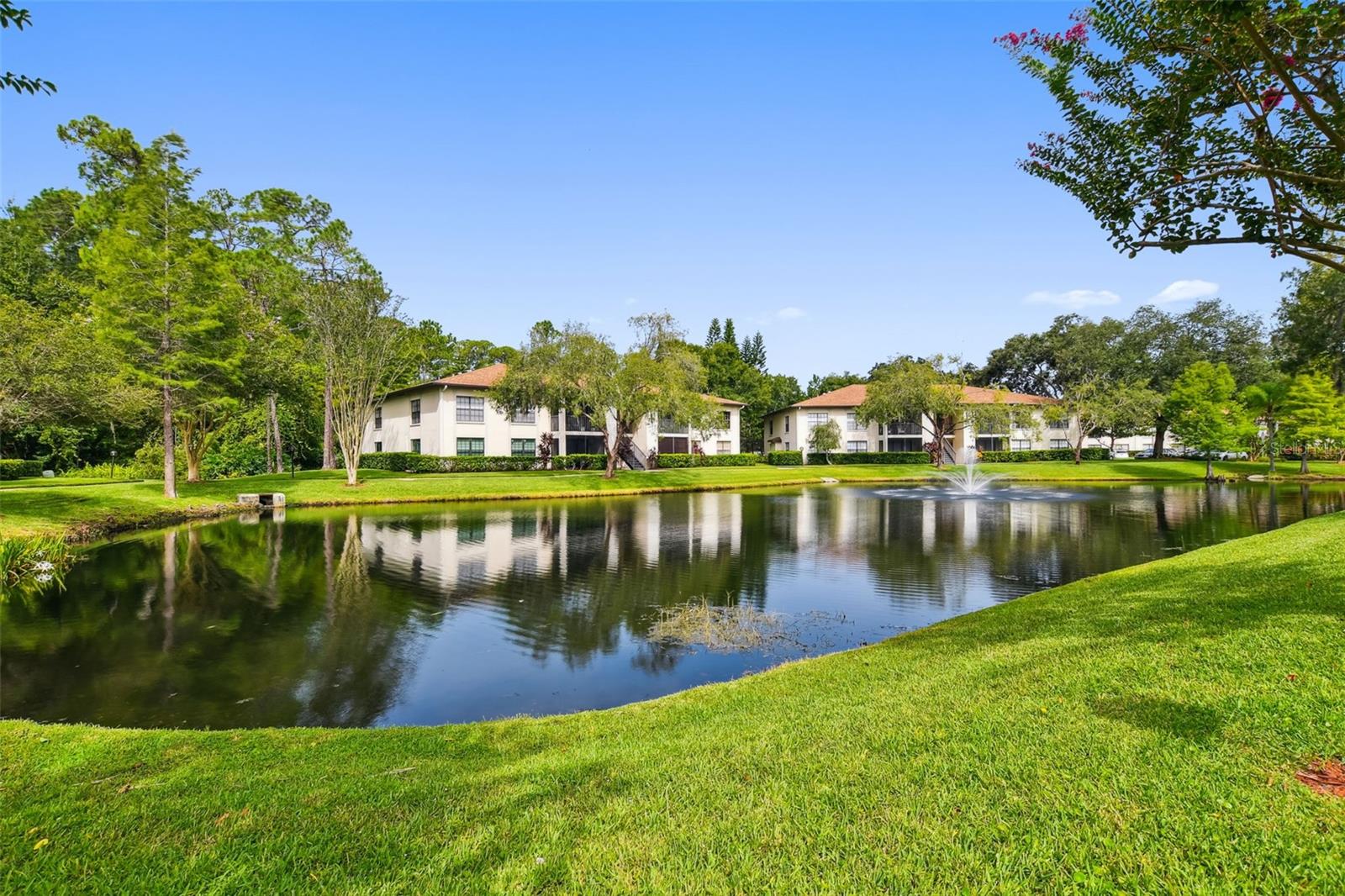 3367 CRYSTAL CT E #E, PALM HARBOR, FL — photo 24