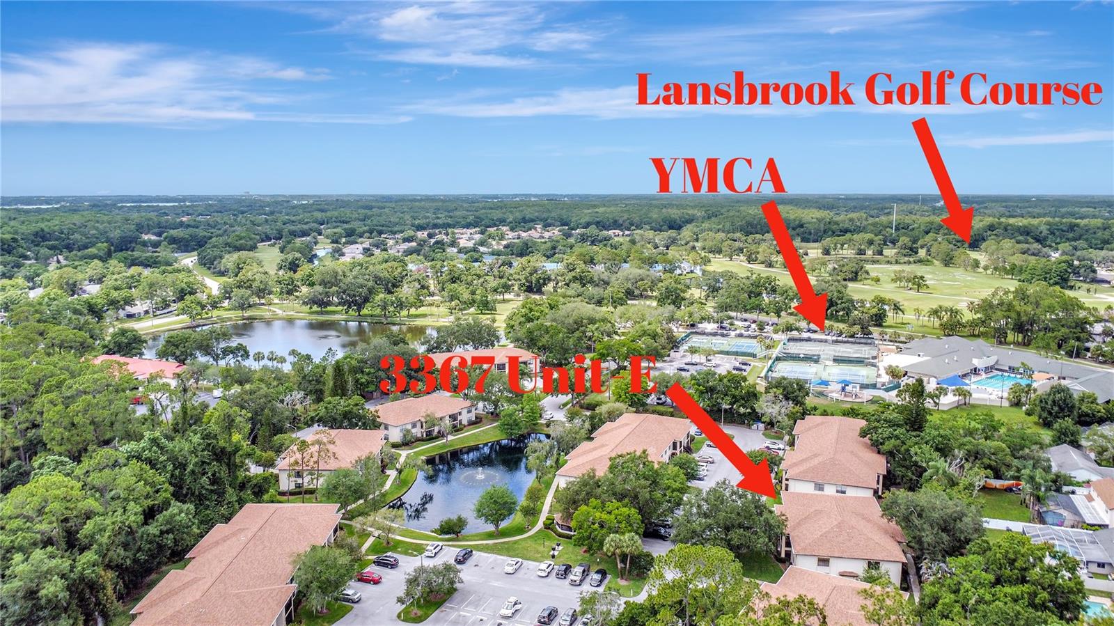 3367 CRYSTAL CT E #E, PALM HARBOR, FL — photo 25