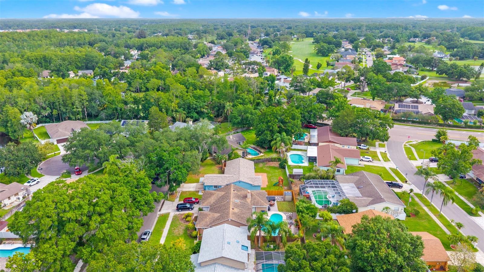 15917 COUNTRY FARM PL, TAMPA, FL — photo 46