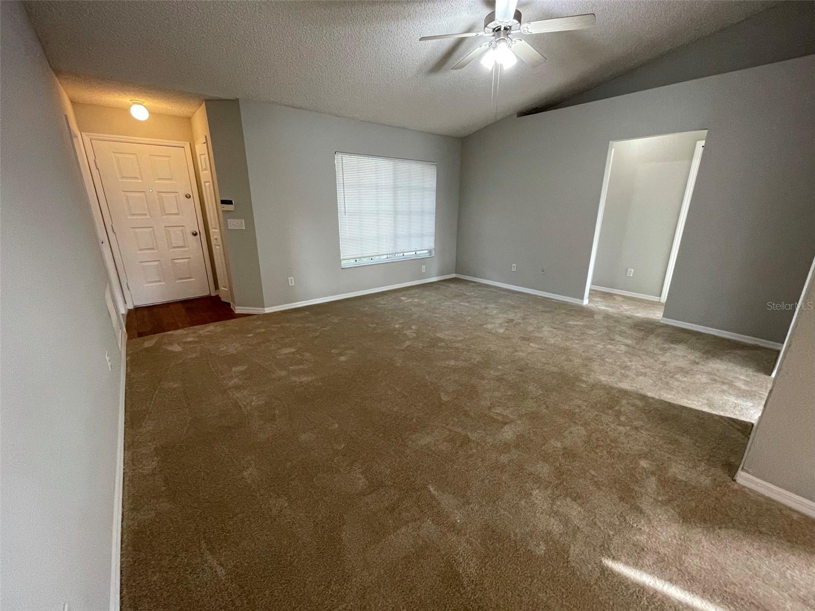 12115 FELDWOOD CREEK LN, RIVERVIEW, FL — photo 3