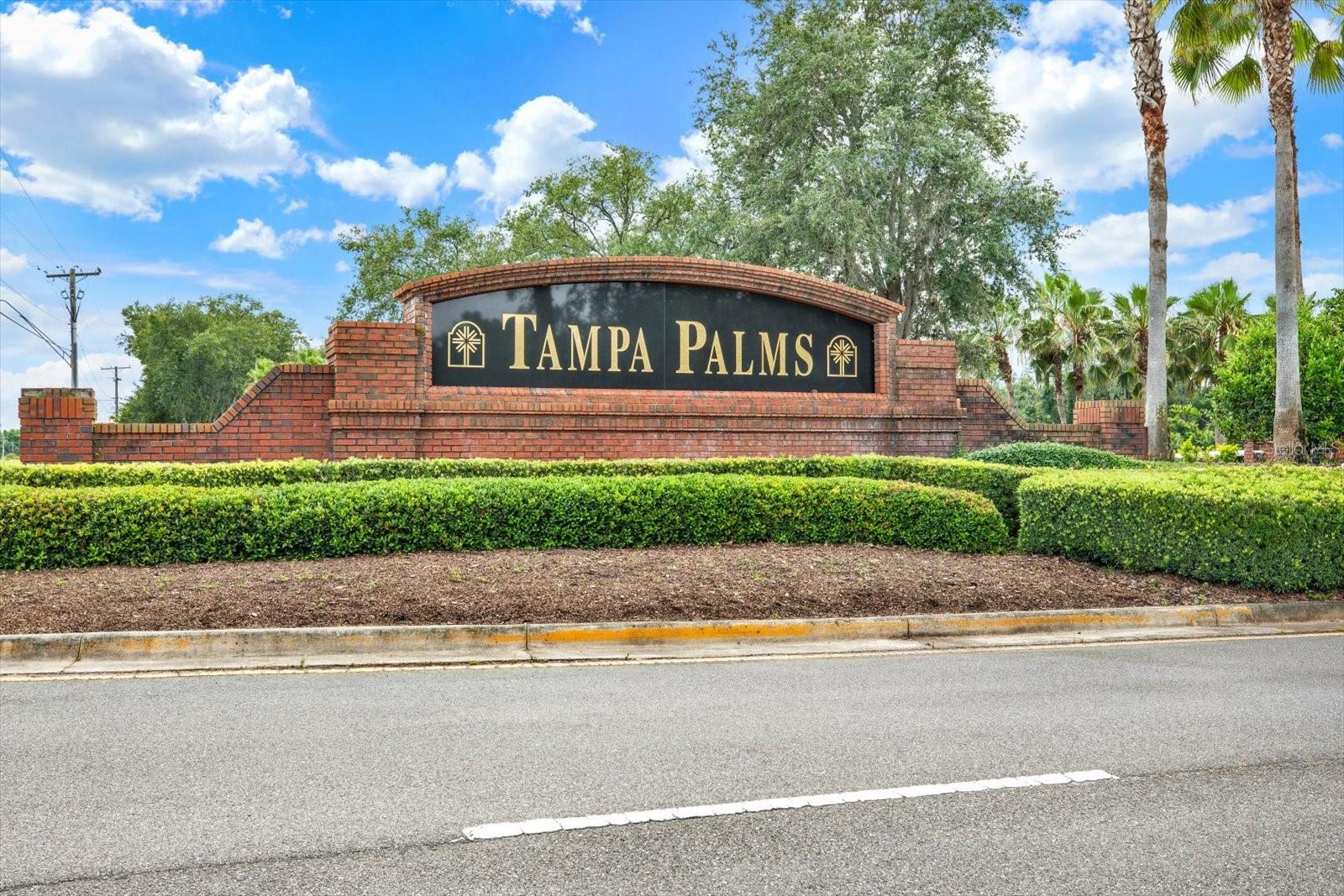 16002 ROBEY CT, TAMPA, FL — photo 20
