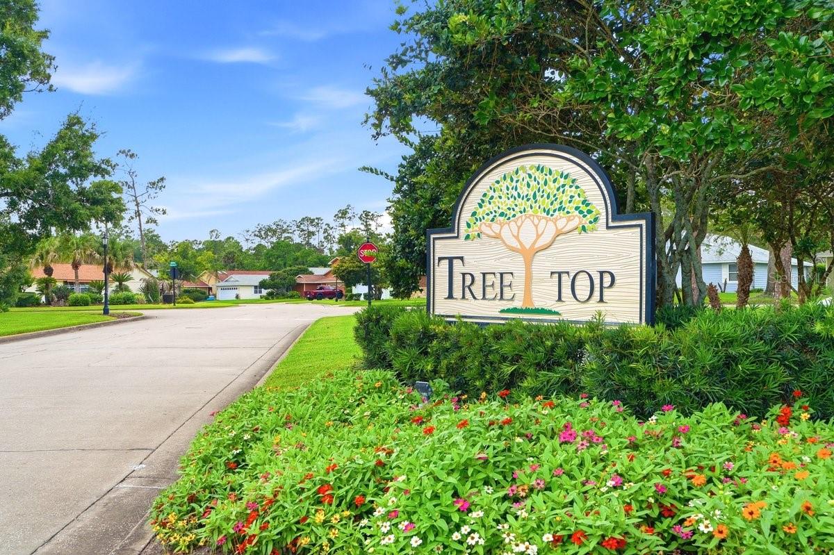 50 TREETOP CIR, ORMOND BEACH, FL — photo 72