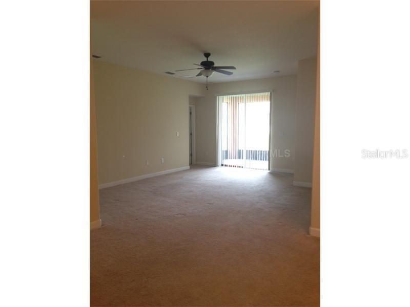 14010 HOLLOW LEAF PL, RIVERVIEW, FL — photo 3