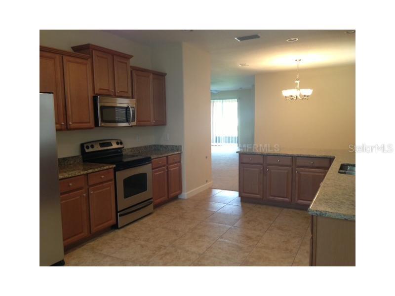 14010 HOLLOW LEAF PL, RIVERVIEW, FL — photo 4