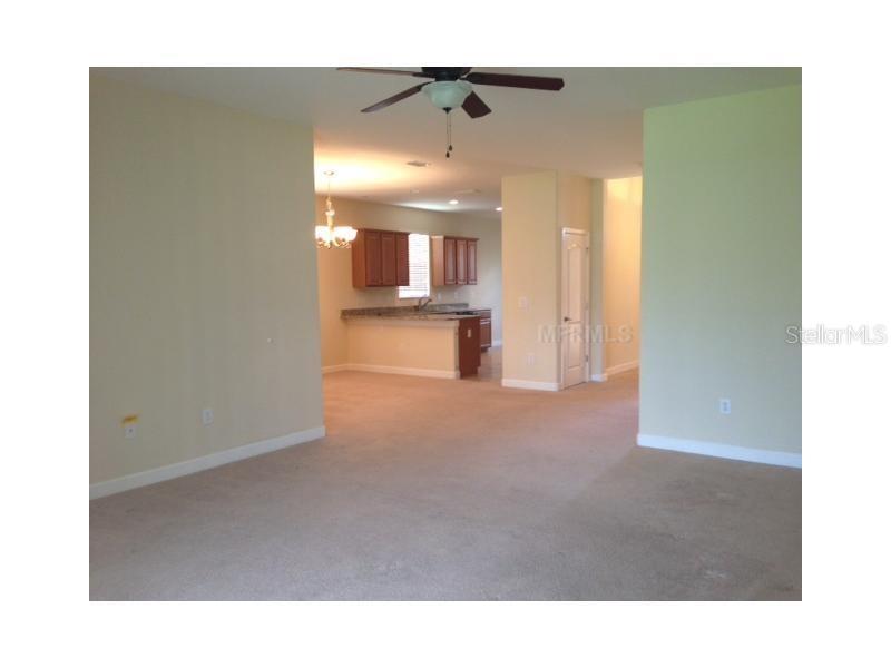 14010 HOLLOW LEAF PL, RIVERVIEW, FL — photo 6